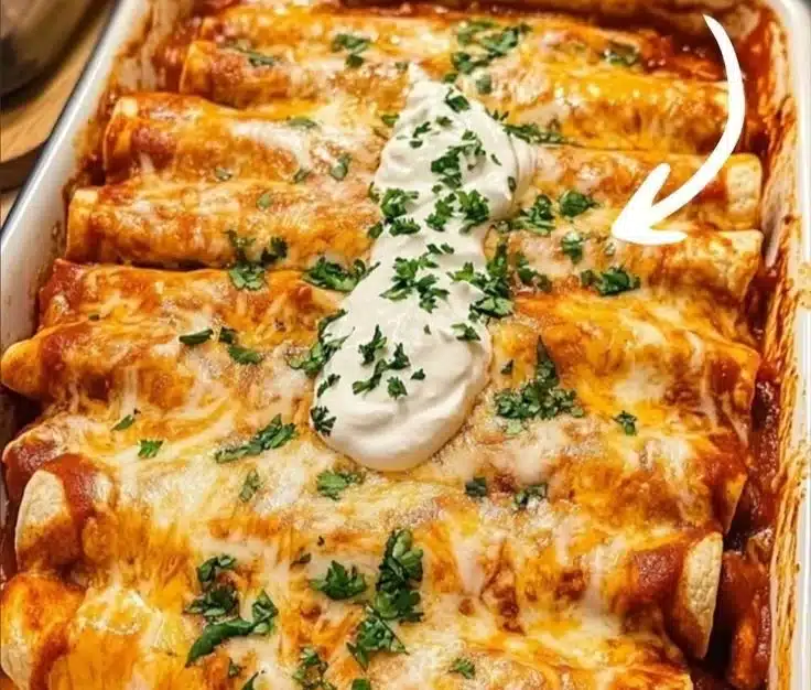Delicious Chicken Enchiladas